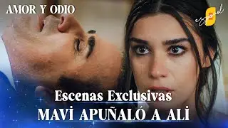 &iexcl;Mavi apu&ntilde;al&oacute; a Ali en su noche de bodas! - Amor y Odio | Aşk ve Mavi - Escenas Exclusivas 🎁