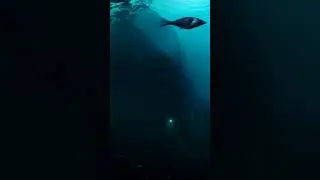 The Sea Monster in the Storm | BlueFable | @BlueFable7  | FableBlue | Sea | Fishing | trending