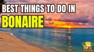 BONAIRE Travel Guide   Top 10 Best Things To Do