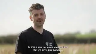 How to plant a new woodland