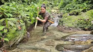 Surviving Alone in the Mountains and Forests - Hunting Stream Fish with Homemade Tools