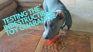 RUFF DAWG indestructible toy guarantee tested #einsteinsbackyard #arizona #pitbulls #dog #dogtoy
