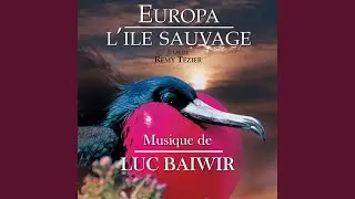 Europa, la faune et la flore