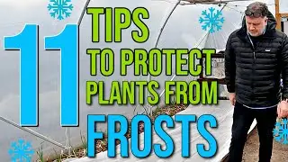 11 Tips To Protect Plants From Frosts | Best Ways To Protect Plants From Frost