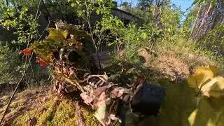 Battleground SBG 32 Magfed Big Game 5