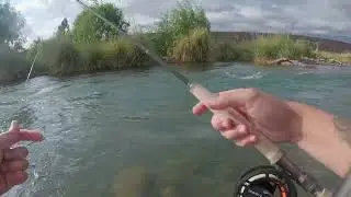 PESCA CON MOSCA / RIO MENDOZA / AL HILO Y LINEA