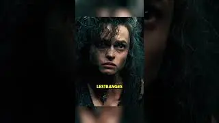 Самые могущественные волшебные семьи Гарри Поттера!
