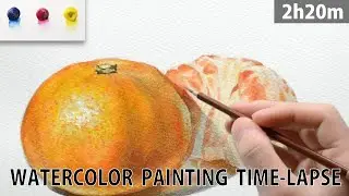 [水彩画]リアルなみかんを三原色を使って描くメイキング | 描き方 | Watercolor Painting | -No.86
