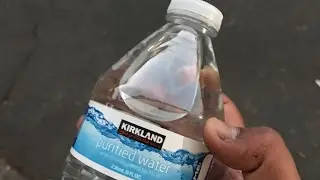 Bottle flip 2.0 w/ primalblast