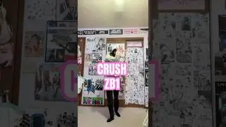 #CRUSHChallenge