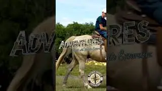 Westgate Excursions | Westgate Lakes Resort & Spa