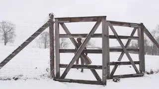 WINTER SPINACH: From The Field