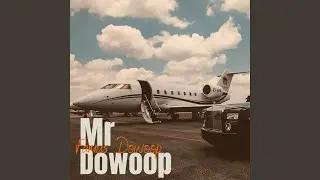 Mr. Dowoop