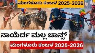 ನಾಯೆರ್ದ ಮಲ್ಲ ಚಾನ್ಸ್, NAYERDA MALLA CHANS 2025-2026 MANGALUR KAMBALA.