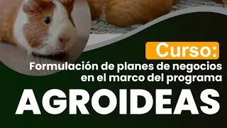 SECI&Oacute;N 1. Programa AGROIDEAS.