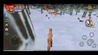 wolf simulator and the other snow