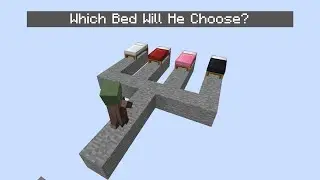 Which Minecraft Bed Will the Villager Choose?