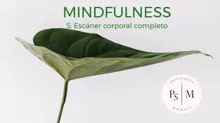 5. Escáner corporal completo