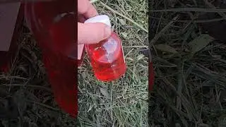 Одни из лучших. Акарицид Дифломайт и Фунгицид Цериакс Плюс