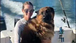 Fishing trip with Spearoholic Excursions was so much fun! Why Apollo doesn&rsquo;t like fish?!