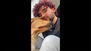 Nestor Clemente est&aacute; en vivo