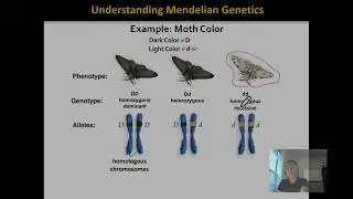 Introduction to Terminology in Genetics