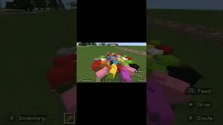 GETTING CHASED BY RAINBOW SHEEP 🐑 #shorts #minecraft #funny