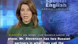 VOA agri   An American Cowboy Aims to Help Russia's Beef Herd