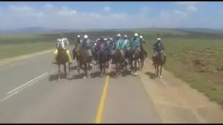 Traditional horse riding