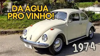 Fusca 1974 Standard Branco Lótus 1300 Concluído!