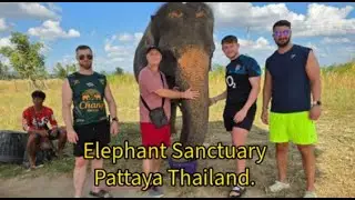 Elephant Sanctuary Pattaya Thailand