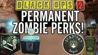TranZit Easter Eggs: Permanent Perks! (Permanent Quick Revive + Deadshot Daiquiri)