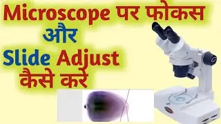 How to focus a microscope | How to adjust PBS slide
