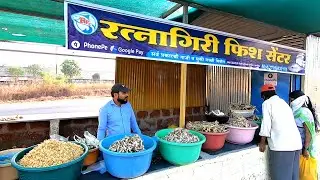 Dry Fish Market Ratnagiri  | Wholesale Dry Fish Market Ratnagiri | Konkan
