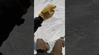 Improving air awareness, first shifty on bigger jump + reaction #snowboarding #jump #progression