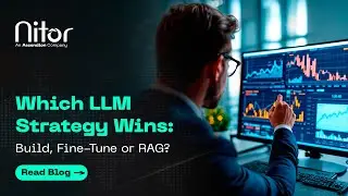 Which LLM Strategy Wins: Build, Fine-Tune, or RAG?