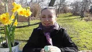 Perfumy na marzec