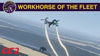 Petrel Transport Operations