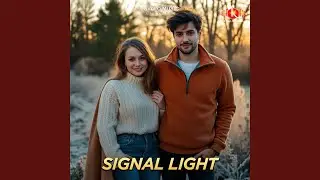 Signal Light