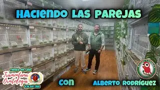 Haciendo las parejas con @Aviario Flora y Fauna