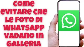 Come evitare che le foto di WhatsApp vadano in galleria