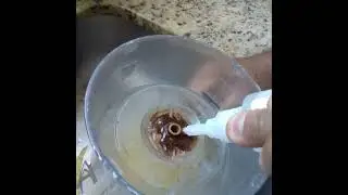 concertos do copo do liquidificador