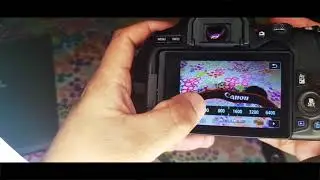 Canon 250D APERTURE, SHUTTER ISO TUTORIAL