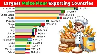 The Largest Maize Flour Exporting Countries in the World