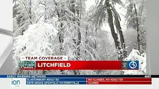 Heavy snow covers trees in Litchfield County
