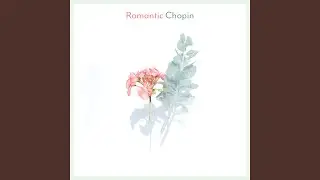 Chopin: Nocturnes, Op. 9: No. 2 in E Flat Major. Andante (Arr. Badzura for Piano and Strings)