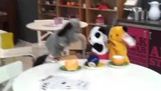 Flirt gets a visit from famous celebrities
