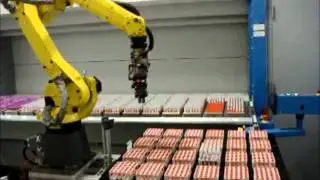 Automation Storage & Retrieval System (ASRS)