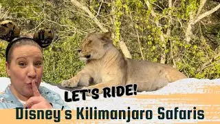 Full ride! Kilimanjaro Safaris Disney&rsquo;s Animal Kingdom | POV Safari Ride-Through