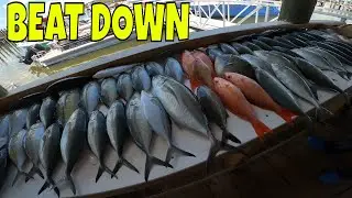 They said they wanted a MEAT TRIP **** Team Beat down in Action.